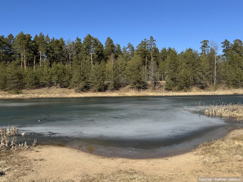Первое путешествие Агуши, продолжение | Бэйбики Первое путешествие Агуши, продолжение (фото 4)