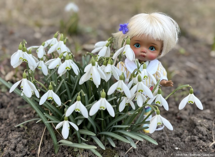 Агуша и подснежники | Бэйбики Агуша и подснежники — Куклы Latidoll (Лати): BJD (БЖД)