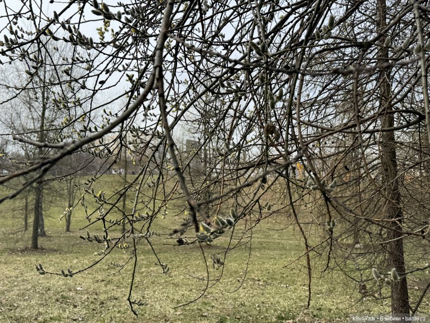 Ага снова в Москве — Куклы Latidoll (Лати): BJD (БЖД)