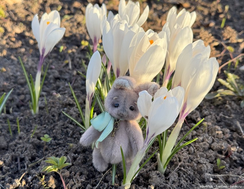 Апрельская Тверь и Агуша | Бэйбики Апрельская Тверь и Агуша — Куклы Latidoll (Лати): BJD (БЖД)