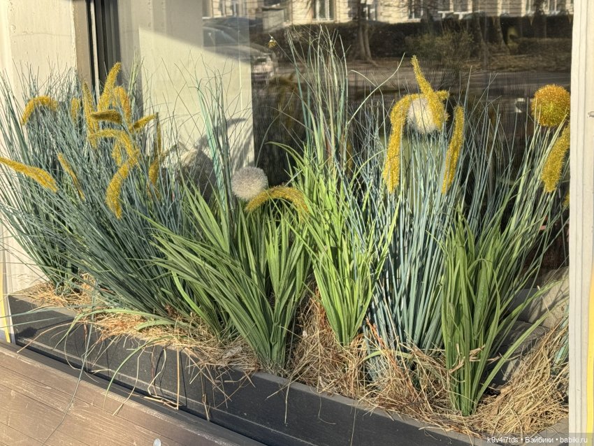 Апрельская Тверь и Агуша | Бэйбики Апрельская Тверь и Агуша — Куклы Latidoll (Лати): BJD (БЖД)