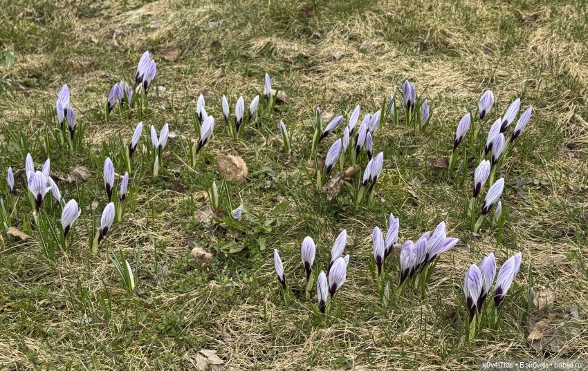 Путешествие во времени через парк (фото 7)