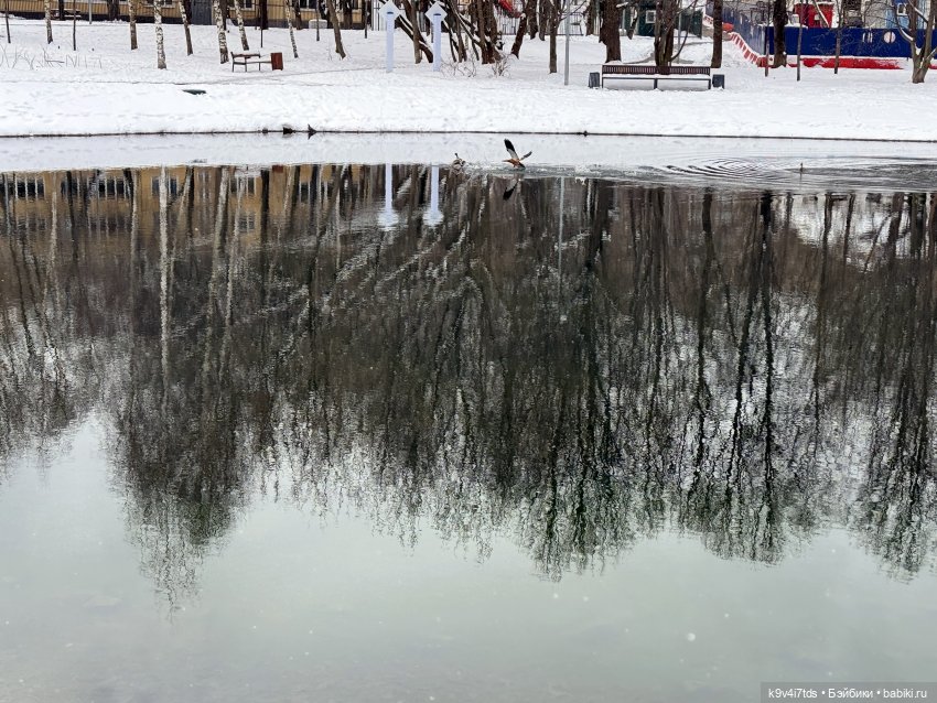 Снежный Апрель | Бэйбики Снежный Апрель — Куклы Latidoll (Лати): BJD (БЖД) (фото 8)