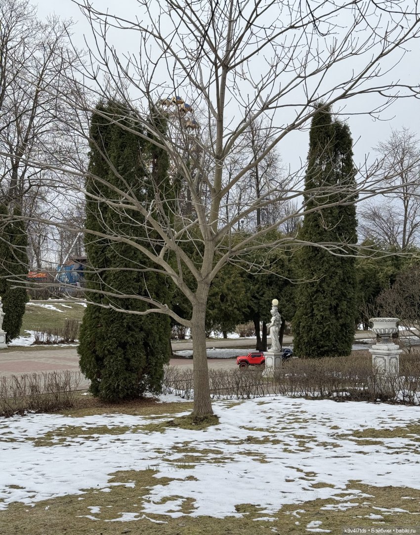 Агуша и котик Феликс гуляют по Твери, продолжение | Бэйбики Агуша и котик Феликс гуляют по Твери, продолжение