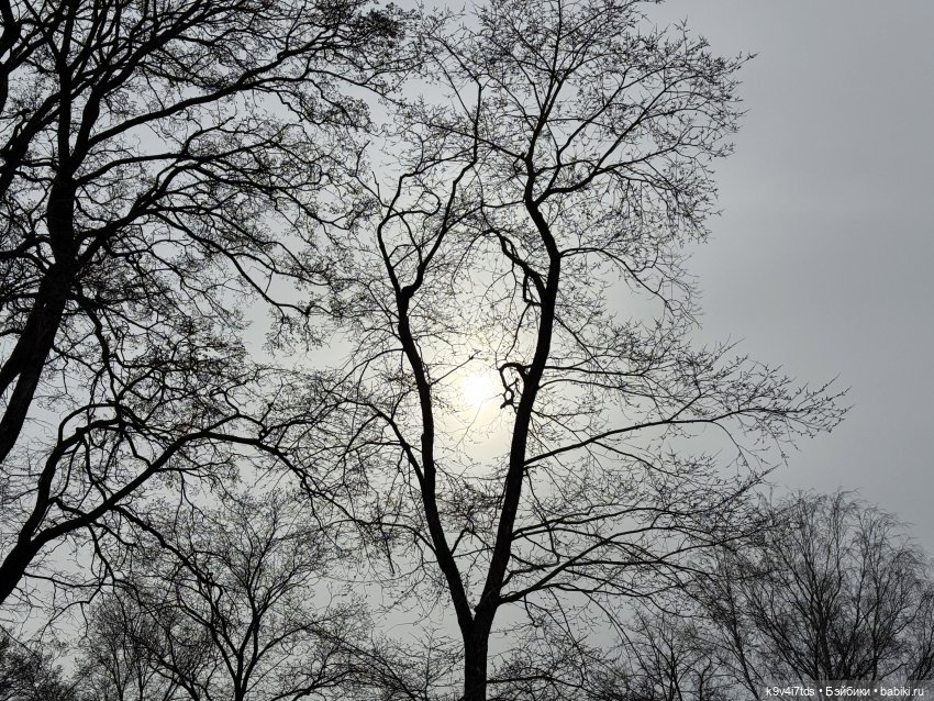 Агуша и котик Феликс гуляют по Твери, продолжение | Бэйбики Агуша и котик Феликс гуляют по Твери, продолжение