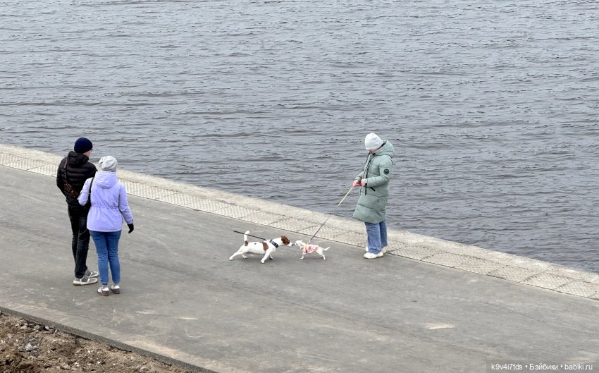 Агуша и котик Феликс гуляют по Твери, продолжение | Бэйбики Агуша и котик Феликс гуляют по Твери, продолжение