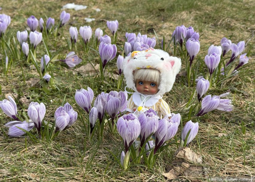 Агуша и котик Феликс гуляют по Твери, продолжение | Бэйбики Агуша и котик Феликс гуляют по Твери, продолжение (фото 5)