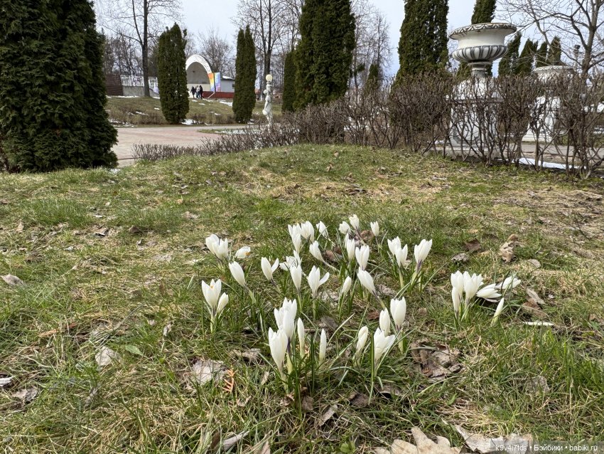 Агуша и котик Феликс гуляют по Твери, продолжение | Бэйбики Агуша и котик Феликс гуляют по Твери, продолжение