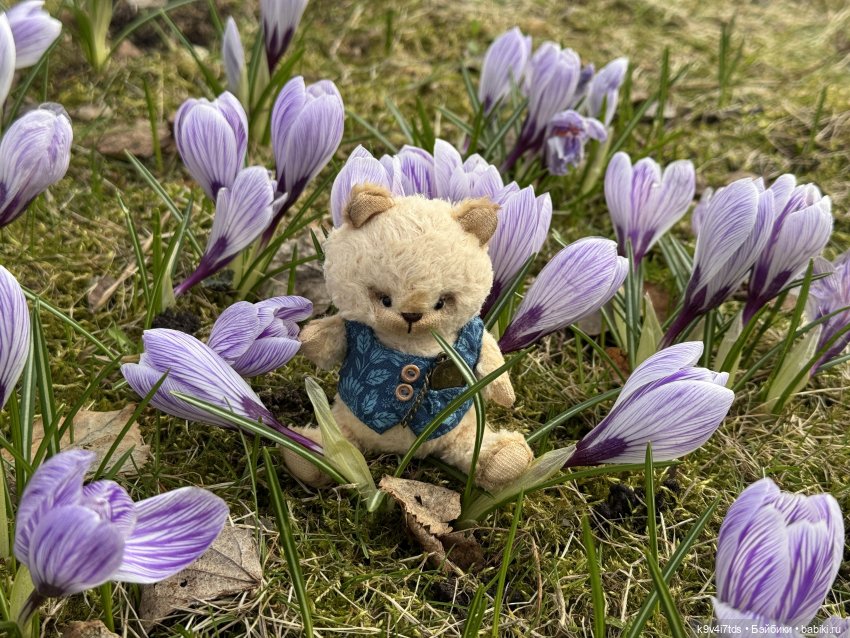 Агуша и котик Феликс гуляют по Твери, продолжение | Бэйбики Агуша и котик Феликс гуляют по Твери, продолжение