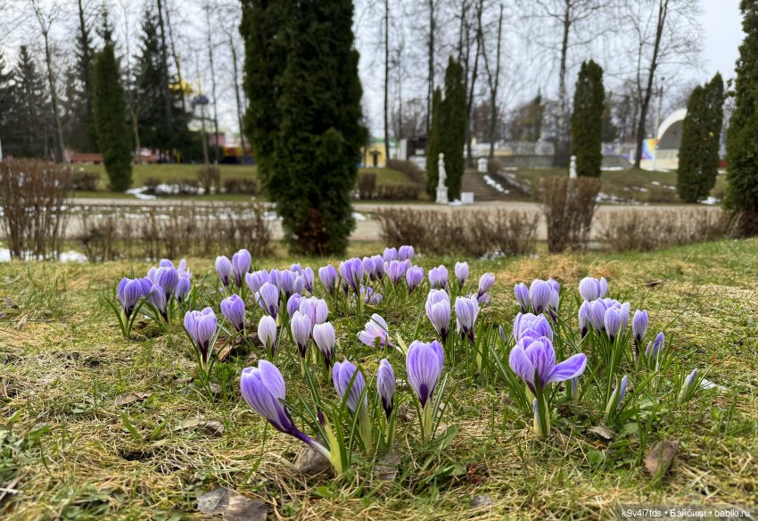 Агуша и котик Феликс гуляют по Твери, продолжение | Бэйбики Агуша и котик Феликс гуляют по Твери, продолжение