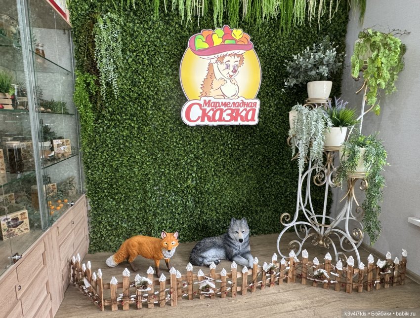 Агуша и котик Феликс гуляют по Твери | Бэйбики Агуша и котик Феликс гуляют по Твери