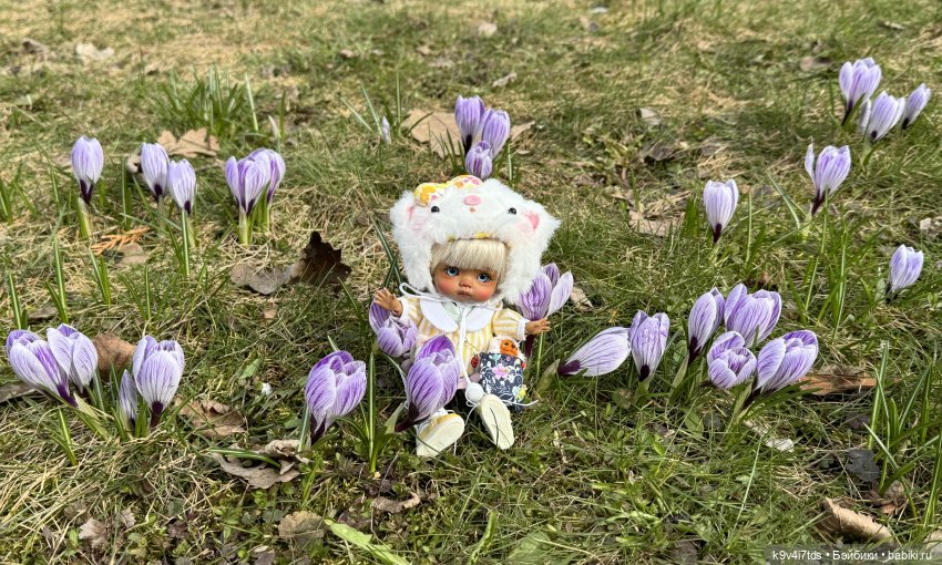 Агуша и котик Феликс гуляют по Твери, продолжение | Бэйбики Агуша и котик Феликс гуляют по Твери, продолжение (фото 8)