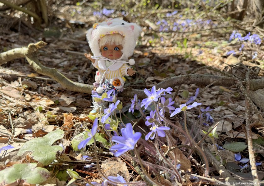 Апрельская сказка-быль | Бэйбики Апрельская сказка-быль — Куклы Latidoll (Лати): BJD (БЖД) (фото 7)