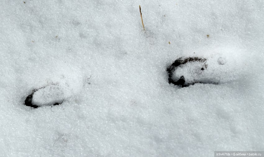 Апрельская сказка-быль | Бэйбики Апрельская сказка-быль — Куклы Latidoll (Лати): BJD (БЖД)