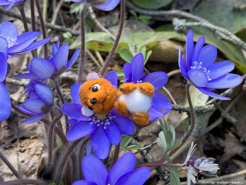 Апрельская сказка-быль | Бэйбики Апрельская сказка-быль — Куклы Latidoll (Лати): BJD (БЖД)