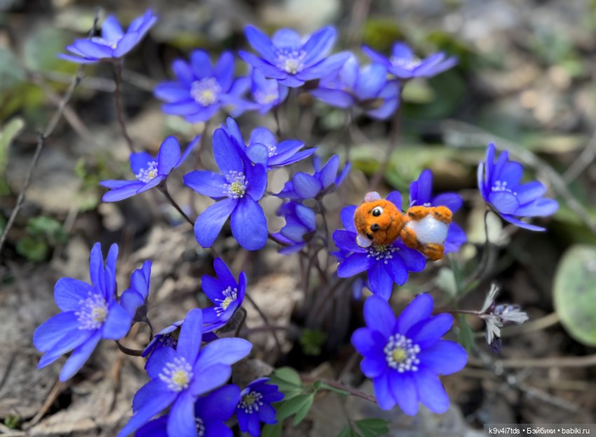 Апрельская сказка-быль | Бэйбики Апрельская сказка-быль — Куклы Latidoll (Лати): BJD (БЖД)