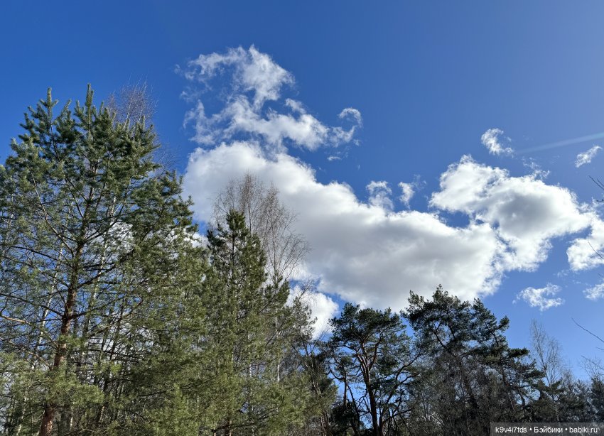 Апрельская сказка-быль | Бэйбики Апрельская сказка-быль — Куклы Latidoll (Лати): BJD (БЖД)