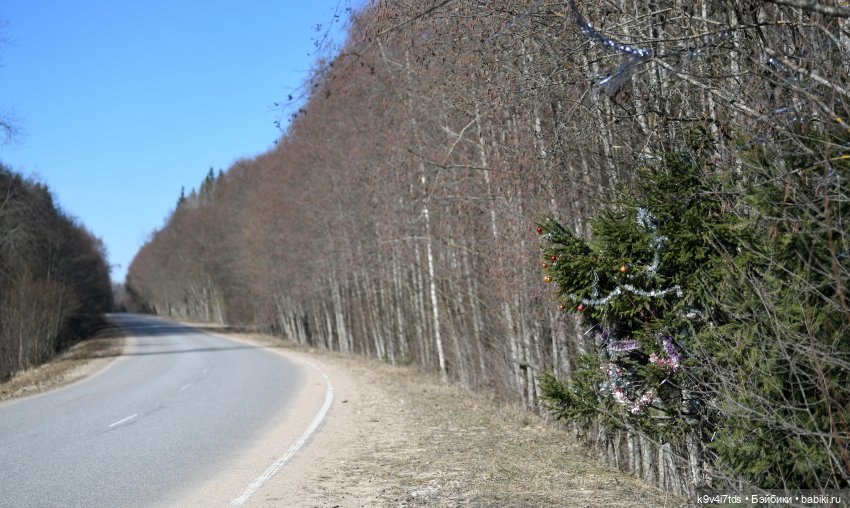 Путешествие на Родину Великого архитектора Николя Львова, часть первая | Бэйбики Путешествие на Родину Великого архитектора Николя Львова, часть первая (фото 4)