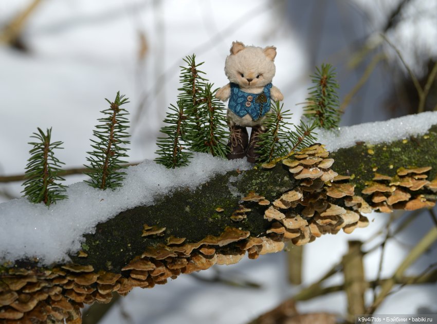 Апрельская сказка-быль | Бэйбики Апрельская сказка-быль — Куклы Latidoll (Лати): BJD (БЖД)