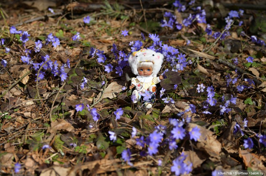 Апрельская сказка-быль | Бэйбики Апрельская сказка-быль — Куклы Latidoll (Лати): BJD (БЖД)
