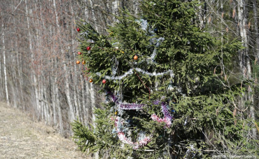 Путешествие на Родину Великого архитектора Николя Львова, часть первая | Бэйбики Путешествие на Родину Великого архитектора Николя Львова, часть первая (фото 5)