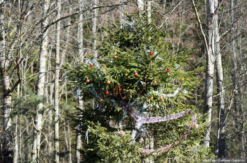 Путешествие на Родину Великого архитектора Николя Львова, часть первая | Бэйбики Путешествие на Родину Великого архитектора Николя Львова, часть первая