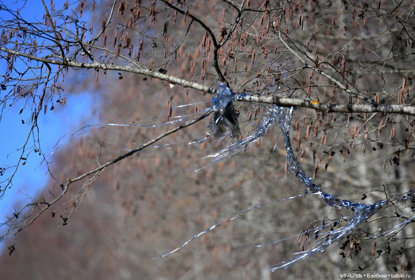 Путешествие на Родину Великого архитектора Николя Львова, часть первая | Бэйбики Путешествие на Родину Великого архитектора Николя Львова, часть первая (фото 6)