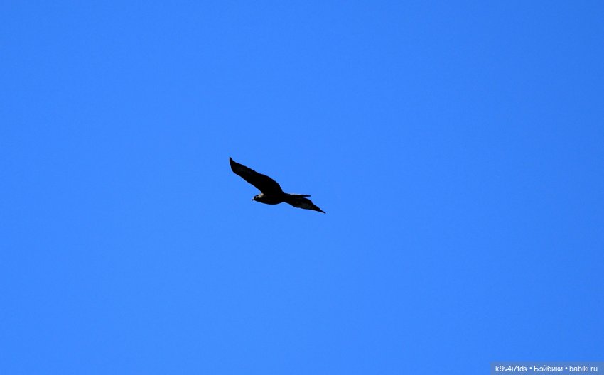 Путешествие на Родину Великого архитектора Николя Львова, часть первая | Бэйбики Путешествие на Родину Великого архитектора Николя Львова, часть первая (фото 3)