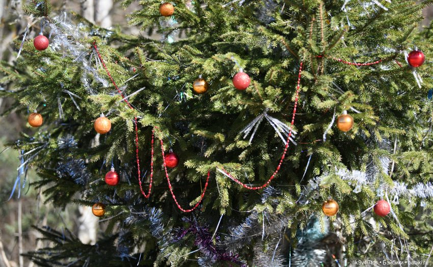 Путешествие на Родину Великого архитектора Николя Львова, часть первая | Бэйбики Путешествие на Родину Великого архитектора Николя Львова, часть первая (фото 7)