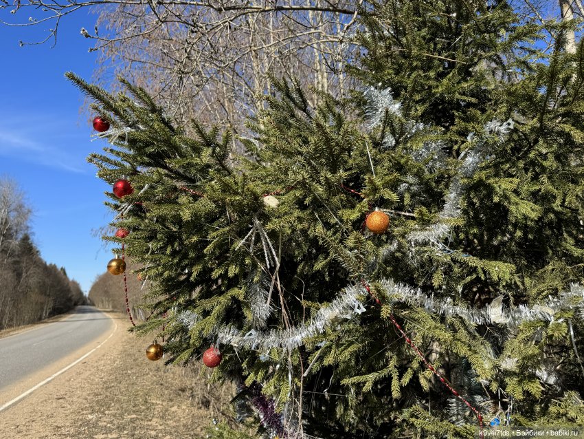 Путешествие на Родину Великого архитектора Николя Львова, часть первая | Бэйбики Путешествие на Родину Великого архитектора Николя Львова, часть первая (фото 8)