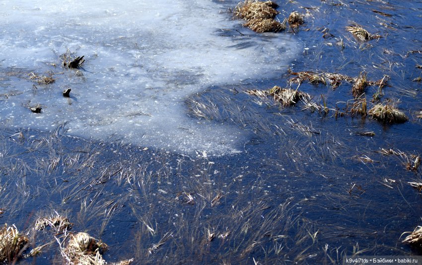 Путешествие на Родину Великого архитектора Николя Львова, часть первая | Бэйбики Путешествие на Родину Великого архитектора Николя Львова, часть первая (фото 2)
