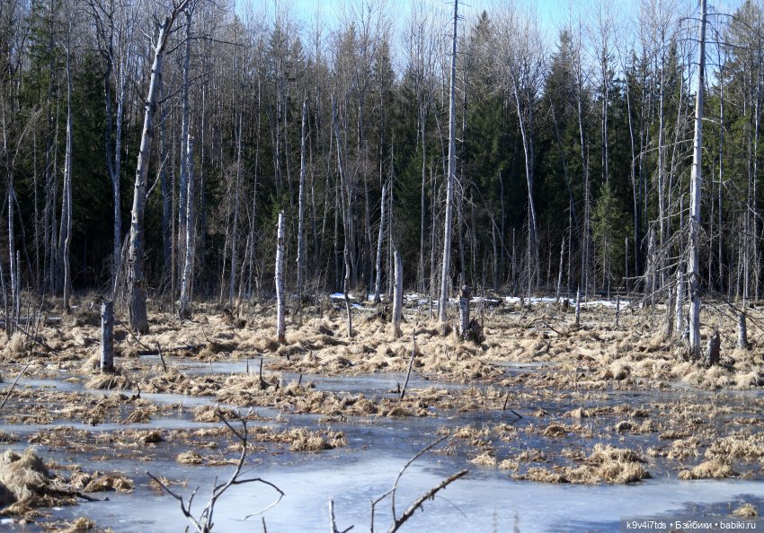 Путешествие на Родину Великого архитектора Николя Львова, часть первая | Бэйбики Путешествие на Родину Великого архитектора Николя Львова, часть первая