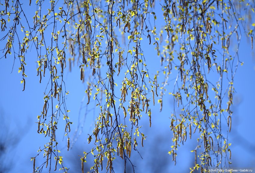 Волшебные "митенки" — База знаний