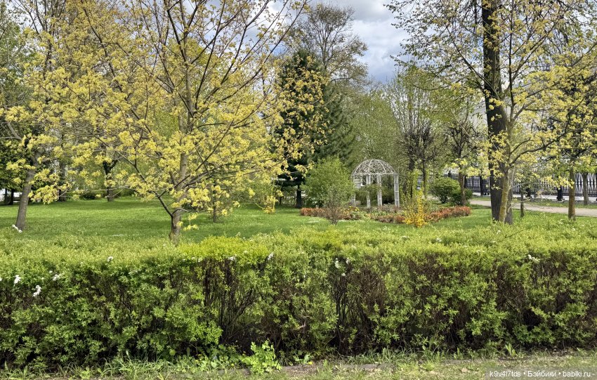 Первая прогулка Элис — Куклы Dianna Effner (Эффнер) из винила: Little Darling (фото 7)