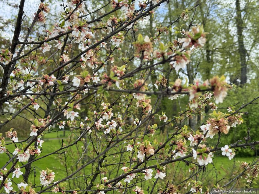 Первая прогулка Элис — Куклы Dianna Effner (Эффнер) из винила: Little Darling
