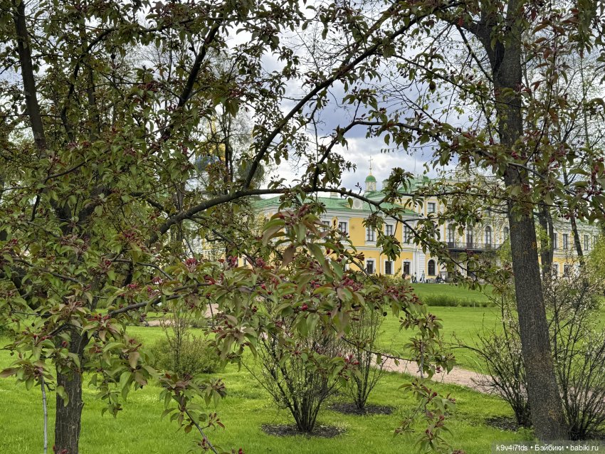 Первая прогулка Элис — Куклы Dianna Effner (Эффнер) из винила: Little Darling