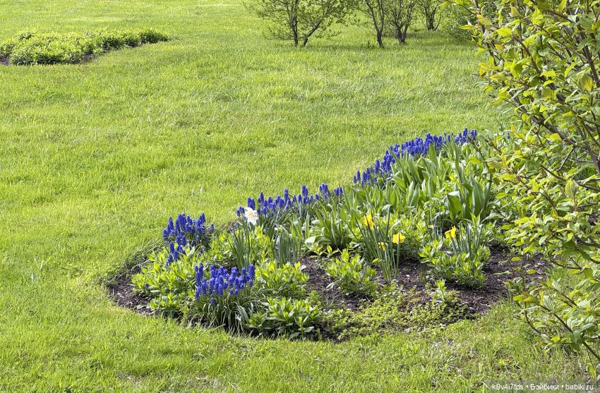 Первая прогулка Элис — Куклы Dianna Effner (Эффнер) из винила: Little Darling