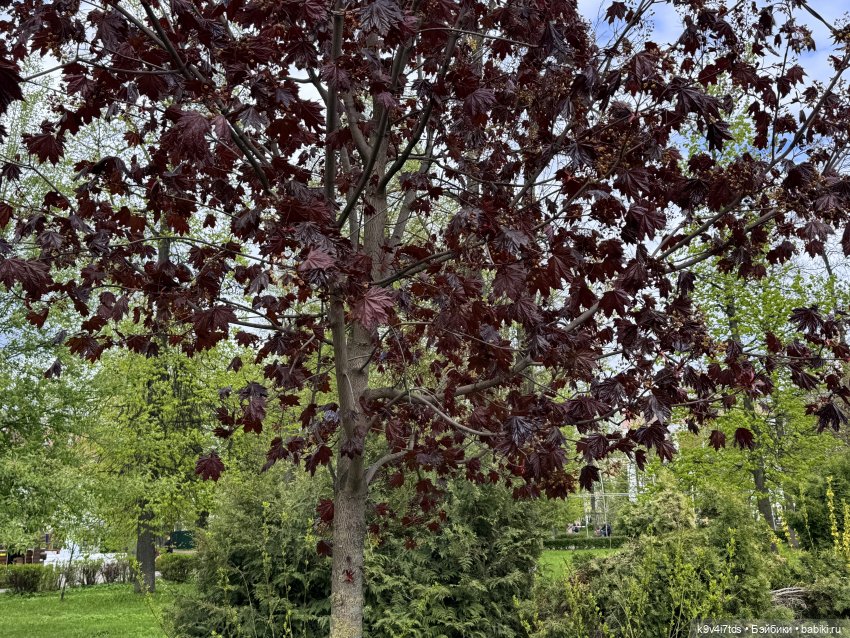 Первая прогулка Элис — Куклы Dianna Effner (Эффнер) из винила: Little Darling