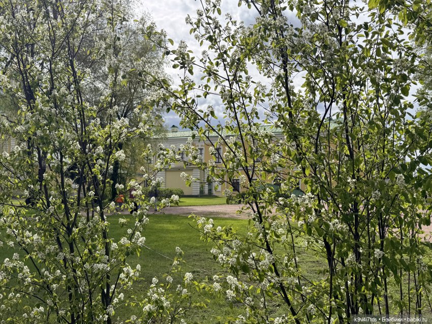 Первая прогулка Элис — Куклы Dianna Effner (Эффнер) из винила: Little Darling