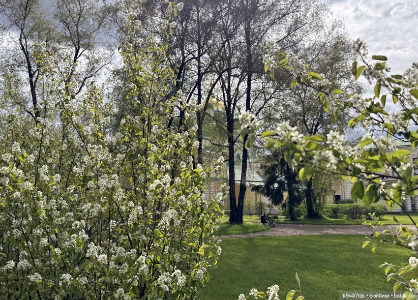 Первая прогулка Элис — Куклы Dianna Effner (Эффнер) из винила: Little Darling