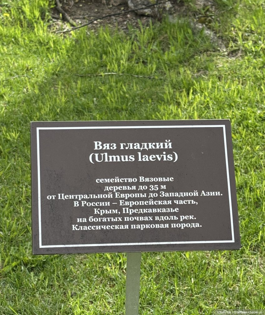 Первая прогулка Элис — Куклы Dianna Effner (Эффнер) из винила: Little Darling