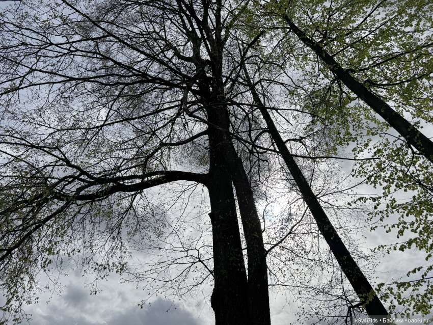 Первая прогулка Элис — Куклы Dianna Effner (Эффнер) из винила: Little Darling