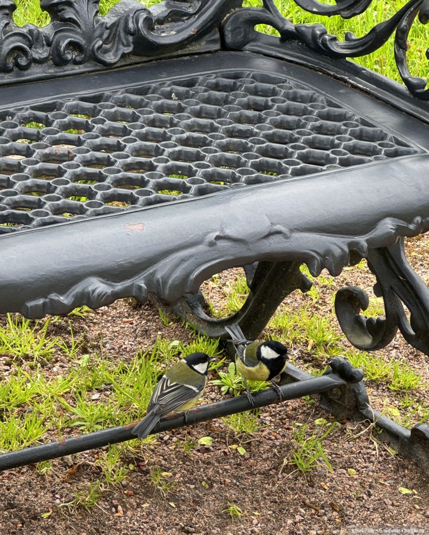 Первая прогулка Элис — Куклы Dianna Effner (Эффнер) из винила: Little Darling