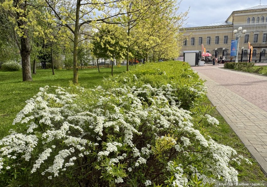 Первая прогулка Элис — Куклы Dianna Effner (Эффнер) из винила: Little Darling