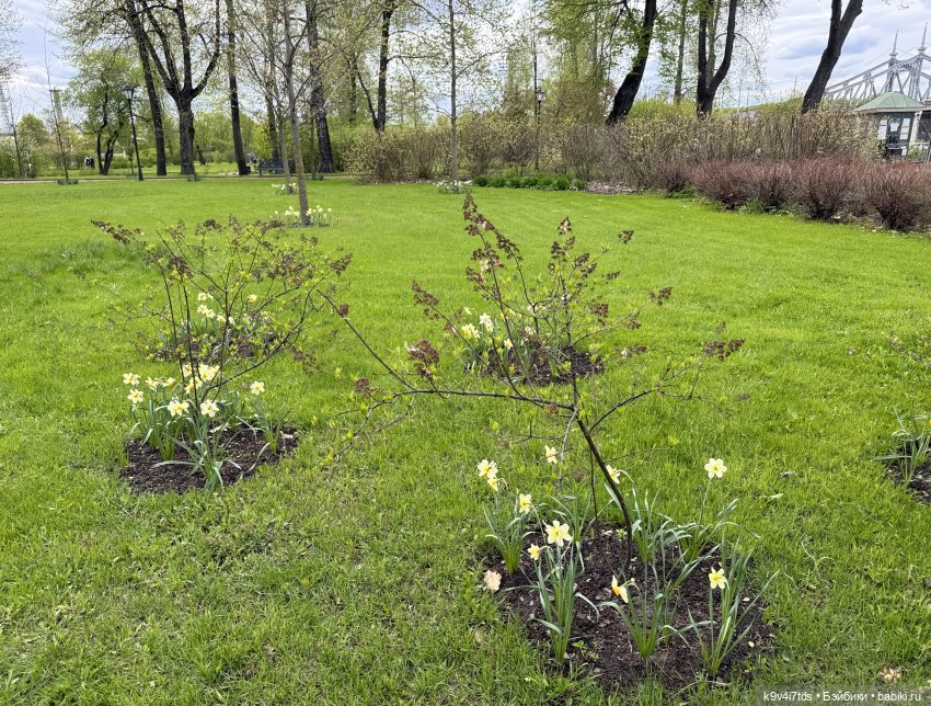 Первая прогулка Элис — Куклы Dianna Effner (Эффнер) из винила: Little Darling