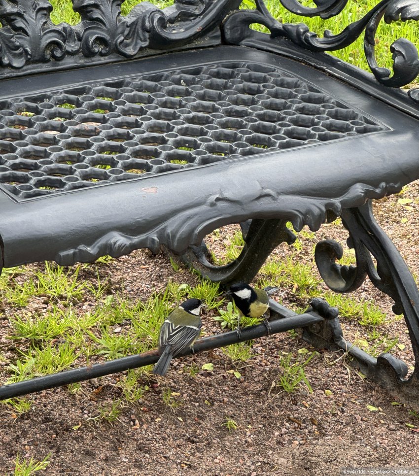 Первая прогулка Элис — Куклы Dianna Effner (Эффнер) из винила: Little Darling