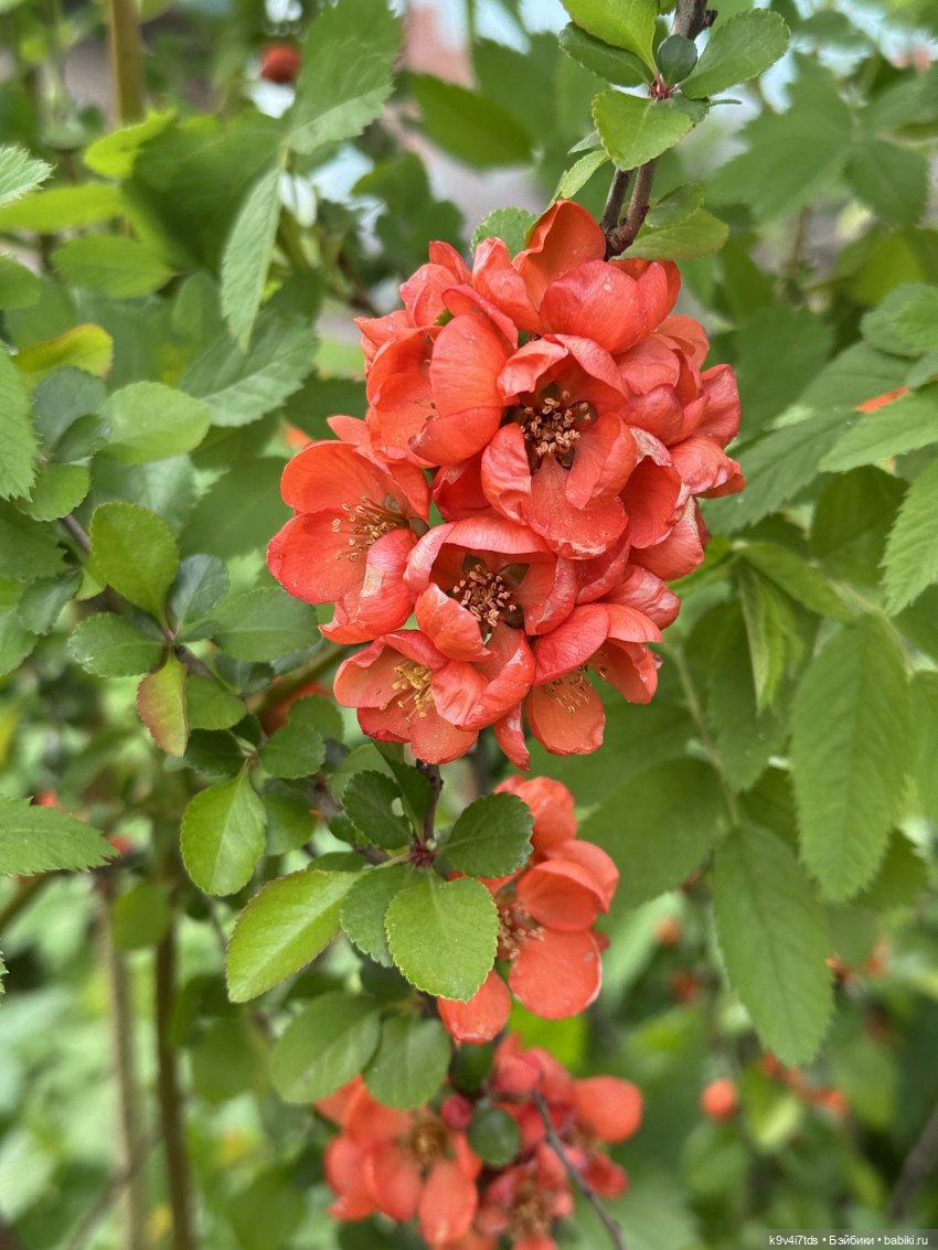 После дождя — Красивая природа и цветы: фото пейзажей (фото 3)