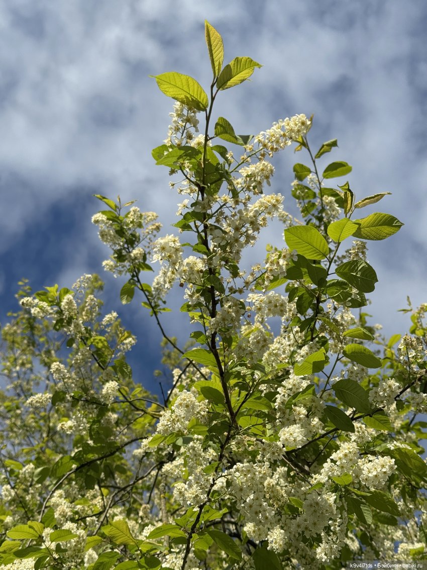После дождя — Красивая природа и цветы: фото пейзажей (фото 9)