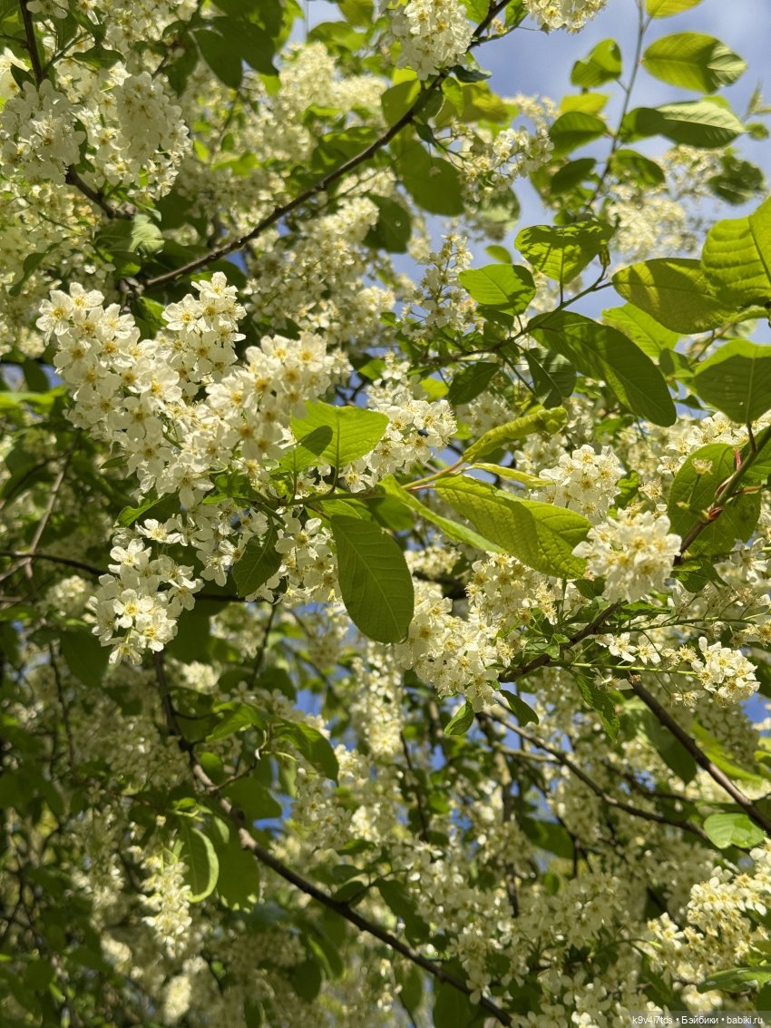 После дождя — Красивая природа и цветы: фото пейзажей (фото 10)