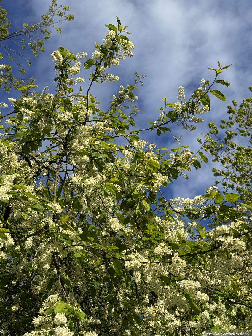 После дождя — Красивая природа и цветы: фото пейзажей (фото 8)